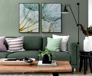 Flores Folhas Árvores e Arbustos