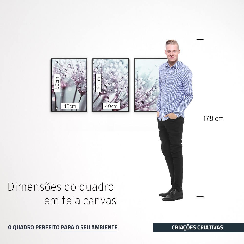 Quadro decorativo Dente de leão com orvalho - com 3 quadros