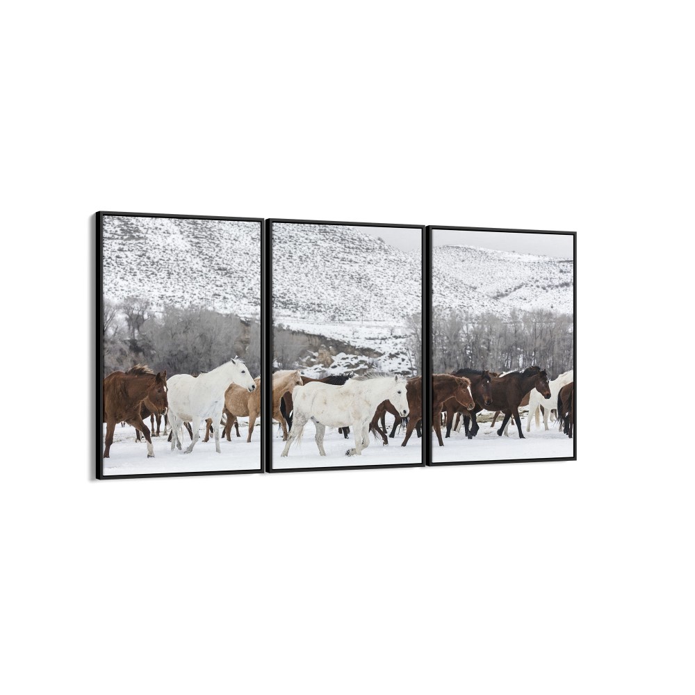 Quadro decorativo cavalos na neve - com 3 quadros
