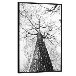 Quadro decorativo a árvore e o tempo Quadro decorativo a árvore e o tempo