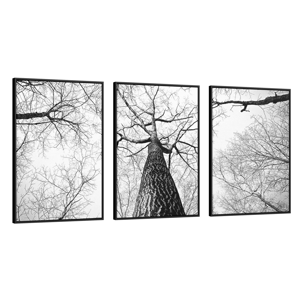 Quadro decorativo A árvore e o tempo - com 3 quadros