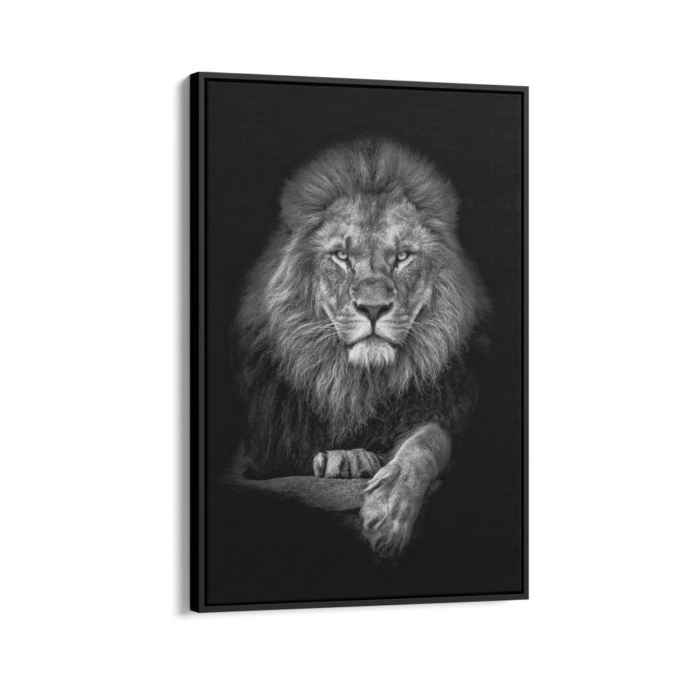 Quadro decorativo leão sobre fundo escuro