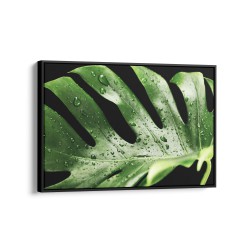 Quadro decorativo monstera