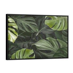Quadro decorativo Monstera deliciosa