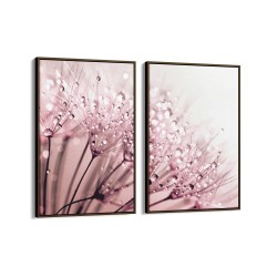 Quadro decorativo dente de leão com orvalho sobre fundo rose - com 2 quadros