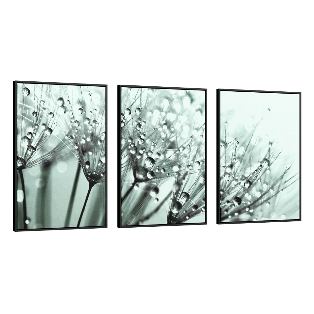 Quadro decorativo Dente de leão com orvalho sobre fundo verde  - com 3 quadros