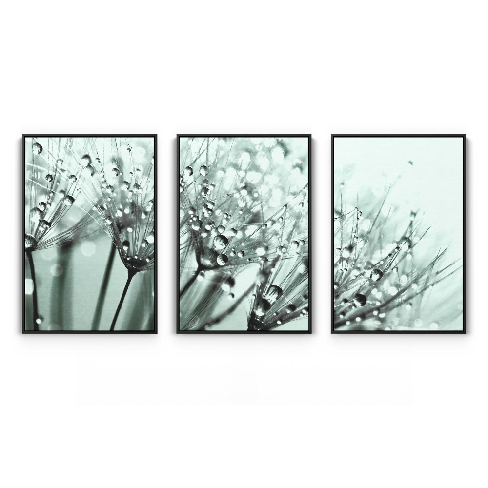 Quadro decorativo Dente de leão com orvalho sobre fundo verde  - com 3 quadros