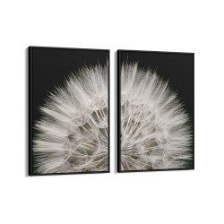 Quadro decorativo dente de leão sobre fundo escuro - com 2 quadros