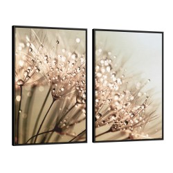 Quadro decorativo dente de leão com orvalho sobre fundo champagne - com 2 quadros
