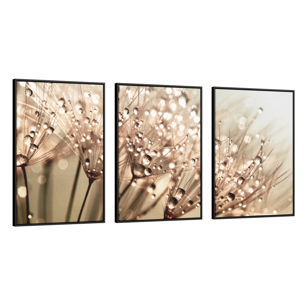 Quadro decorativo Dente de leão com orvalho sobre fundo champagne - com 3 quadros