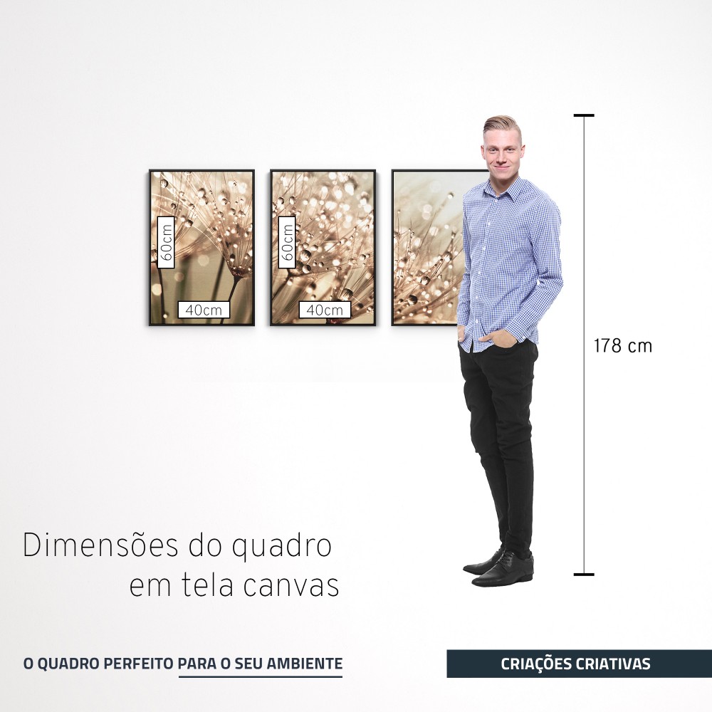 Quadro decorativo Dente de leão com orvalho sobre fundo champagne - com 3 quadros