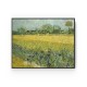 Quadro decorativo field with irises near arles