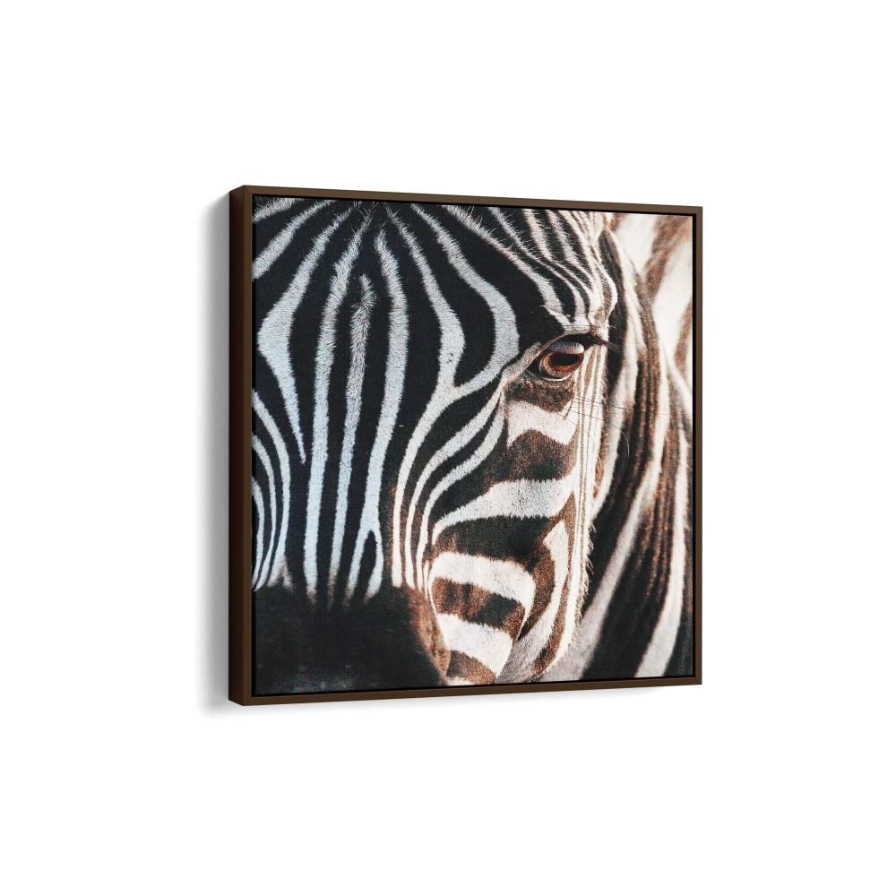 Quadro decorativo zebra Quadro decorativo zebra