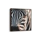 Quadro decorativo zebra Quadro decorativo zebra