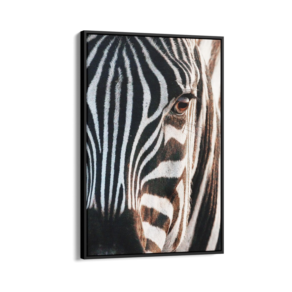 Quadro decorativo zebra