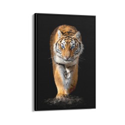Quadro decorativo tigre Quadro decorativo tigre