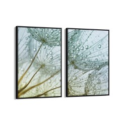 Quadro decorativo dente de leão com gotas de água - com 2 quadros