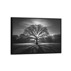 Quadro decorativo Árvore no parque Quadro decorativo Árvore no parque