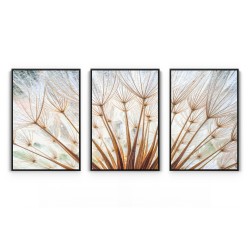 Quadro decorativo Sementes de dente de leão - com 3 quadros Quadro decorativo Sementes de dente de leão - com 3 quadros