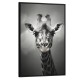 Quadro decorativo Girafa