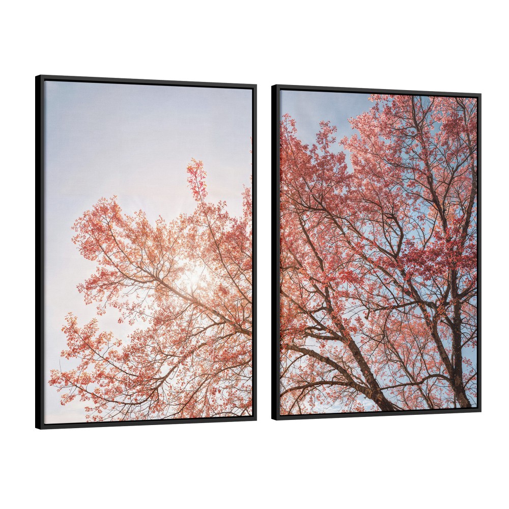 Quadro decorativo Árvore sob o Céu Matinal com 2 quadros