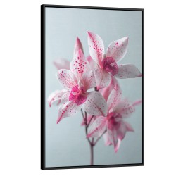 Quadro decorativo Orquídea Suave na Decoração
