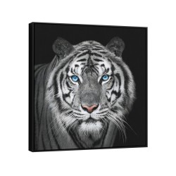 Quadro decorativo Essência do Tigre com olhar Hipnótico