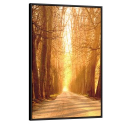 Quadro decorativo Jornada Radiante Através do Bosque Adormecido