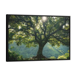 Quadro decorativo A árvore da serenidade Quadro decorativo A árvore da serenidade