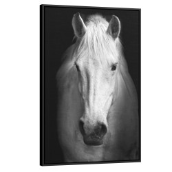 Quadro decorativo Cavalo Branco Quadro decorativo Cavalo Branco