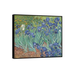 Quadro decorativo Iríses Quadro decorativo Iríses