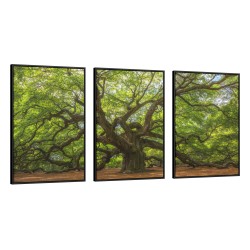 Quadro decorativo Árvore Grandiosa - com 3 quadros Quadro decorativo Árvore Grandiosa - com 3 quadros