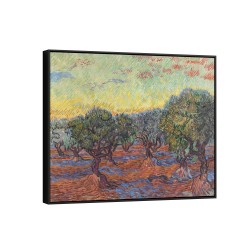 Quadro decorativo Olival Saint-Remy Quadro decorativo Olival Saint-Remy